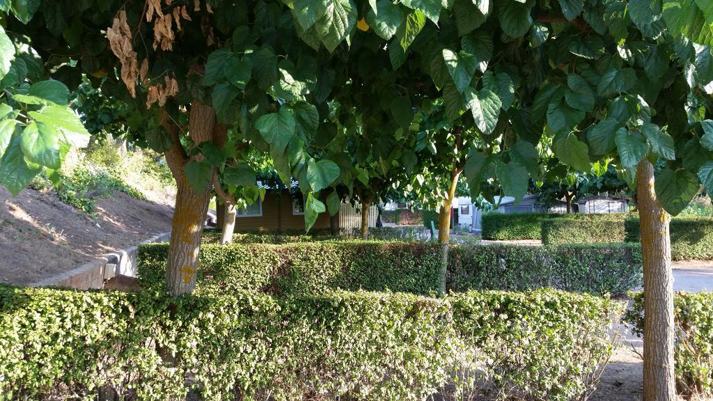 Montsant Park Camping & Bungalow Ulldemolins Ngoại thất bức ảnh